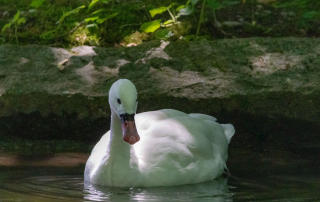 , Zoo Augsburg