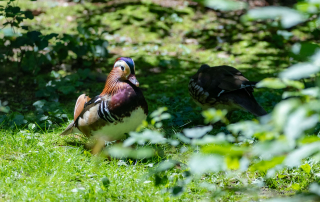 , Zoo Augsburg