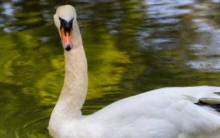 , Zoo Augsburg