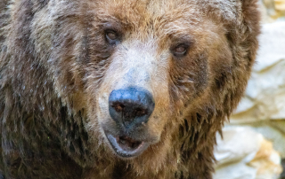 , Zoo Augsburg
