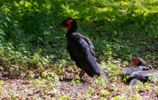 , Zoo Augsburg