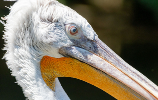 , Zoo Augsburg