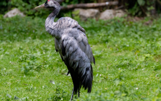 , Zoo Augsburg