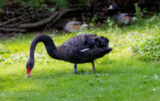 , Zoo Augsburg