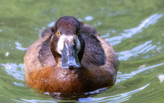 , Zoo Augsburg