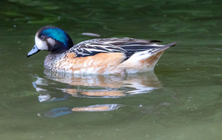 , Zoo Augsburg