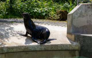 , Zoo Augsburg