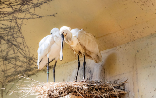 , Zoo Augsburg