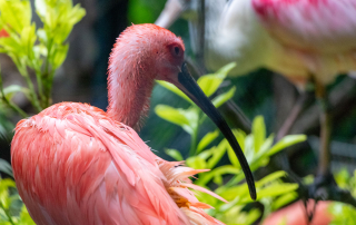 , Zoo Augsburg