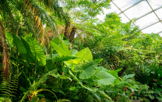 - Zoo Leipzig