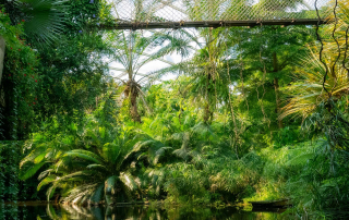 - Zoo Leipzig
