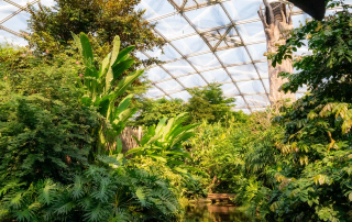 - Zoo Leipzig