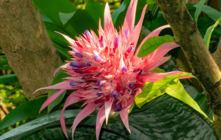 - Zoo Leipzig