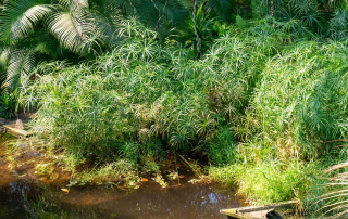 - Zoo Leipzig