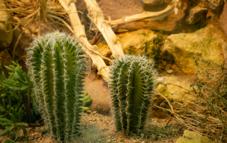 Zoo Leipzig -