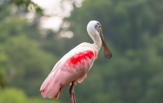 , Zoo Augsburg