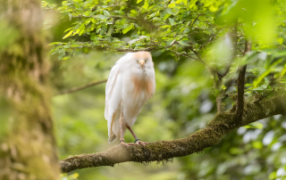 , Zoo Augsburg