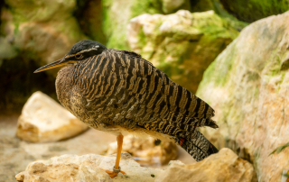 , Zoo Augsburg