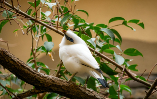 , Zoo Augsburg