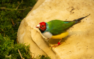 , Zoo Augsburg