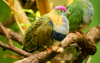 , Zoo Augsburg