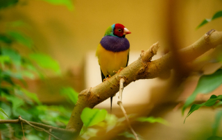 , Zoo Augsburg