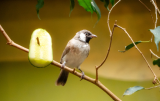 , Zoo Augsburg