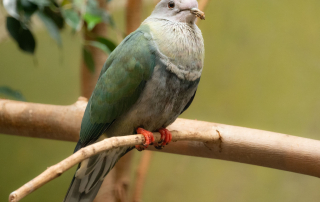 , Zoo Augsburg