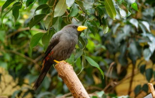 , Zoo Augsburg