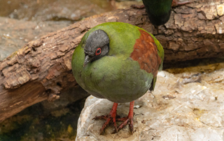 , Zoo Augsburg