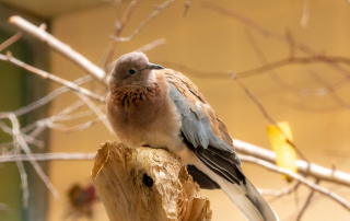 , Zoo Augsburg