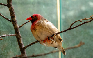 , Zoo Augsburg