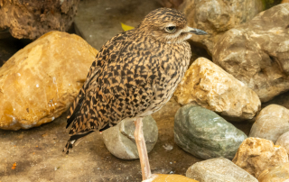, Zoo Augsburg