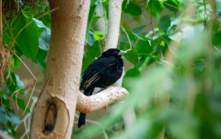 , Zoo Augsburg