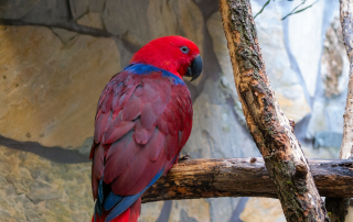 , Zoo Augsburg