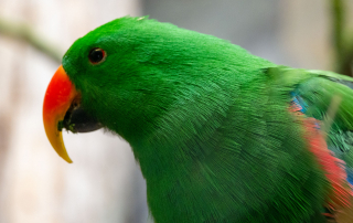 , Zoo Augsburg