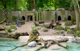 , Zoo Augsburg