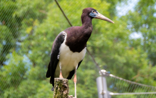 , Zoo Augsburg