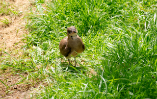, Zoo Augsburg