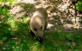 , Zoo Augsburg