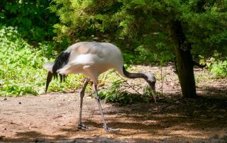 , Zoo Augsburg