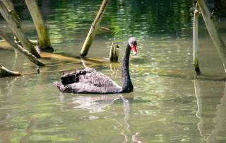 , Zoo Augsburg
