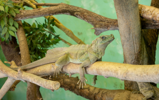 , Zoo Augsburg