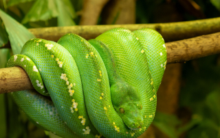 , Zoo Augsburg