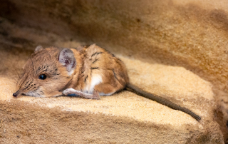 , Zoo Augsburg