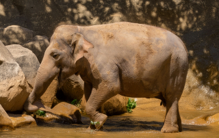 , Zoo Augsburg