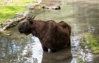 , Zoo Augsburg