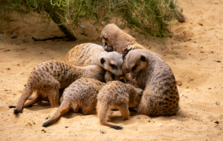 , Zoo Augsburg