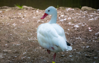 , Zoo Augsburg