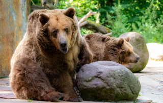, Zoo Augsburg